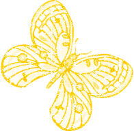ca17790ffe_253111_o2